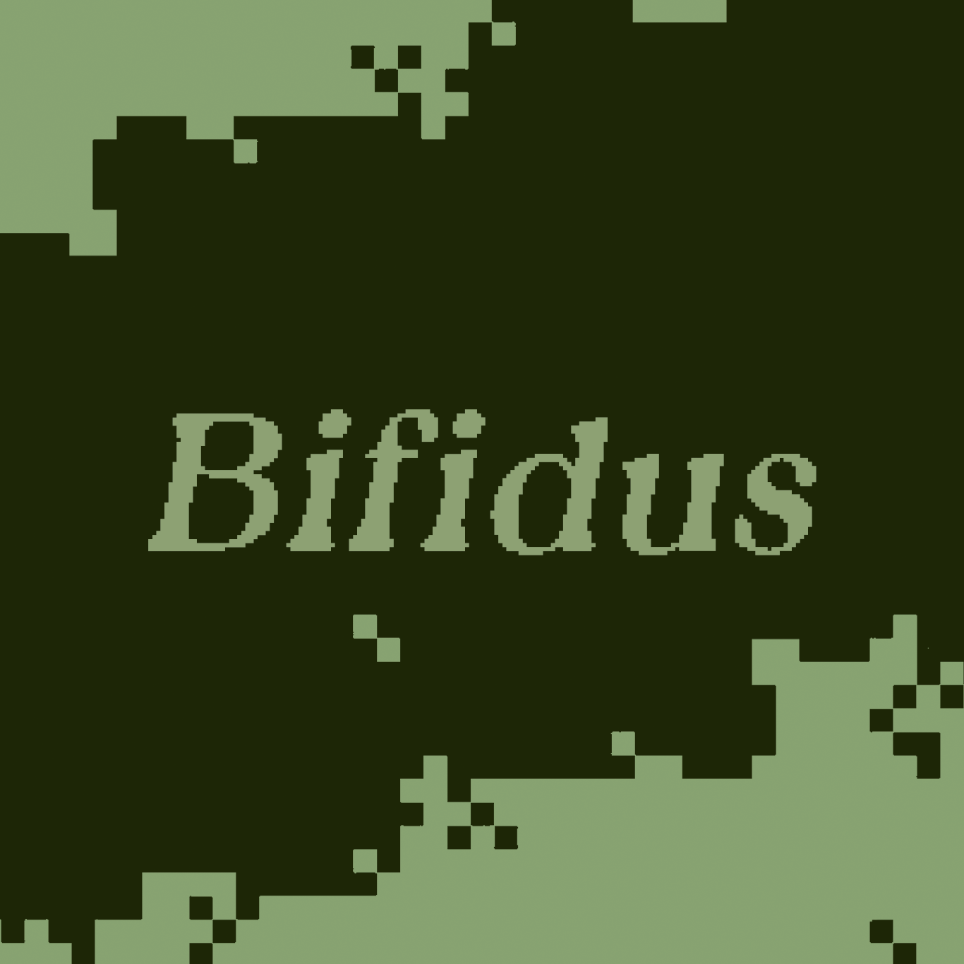 Bifidus